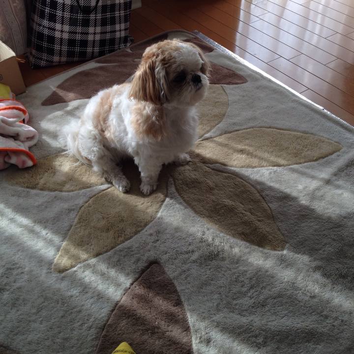 92fc4560 0c94 4d4e 9435 1317686f3441