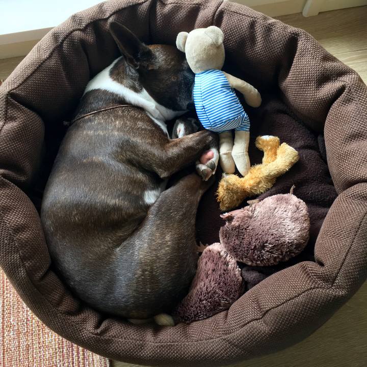 92fc8a22 9bd6 4760 ac0a 8db04fa8f129