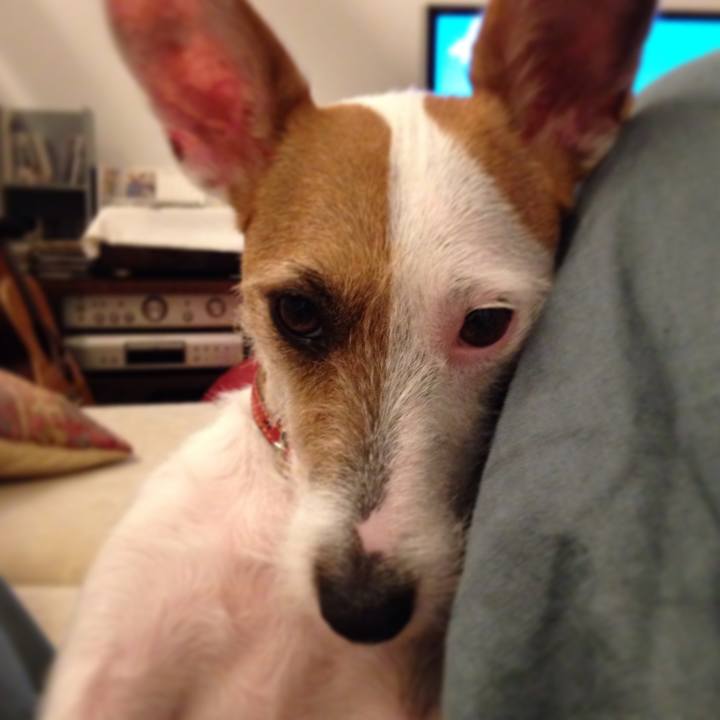 92fcbbe8 df87 4c71 8fc8 51accd1dea13