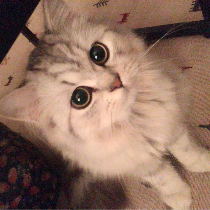 92fd2929 974a 4464 aabe b87ecf71b53f