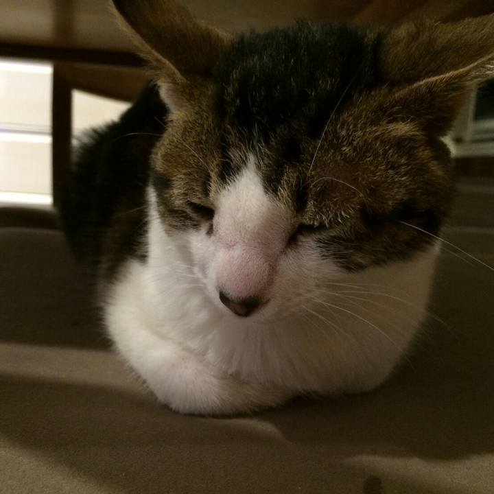 92fd6416 b1f1 4955 888d 6865b579cbc7