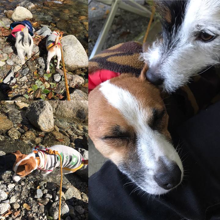 92fe384d c4e0 4212 bee0 8d2d3648b02c