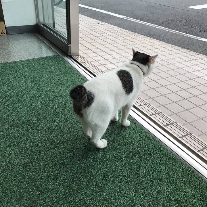 92ff515a 8069 44a8 b980 b3523b785ebd