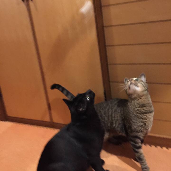 92ffdedd 8a98 4929 a361 6c3406af8bfd