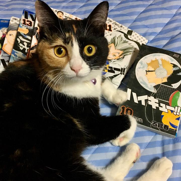 930010a1 d352 4325 97ed 7a7e9408812c