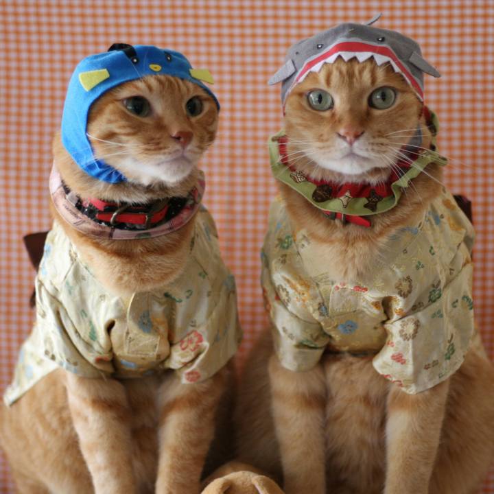 93005473 9418 4653 8c04 59bc94d806bc