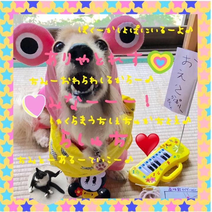 93013dce 6e4c 495a 93ab f725e2a596f0