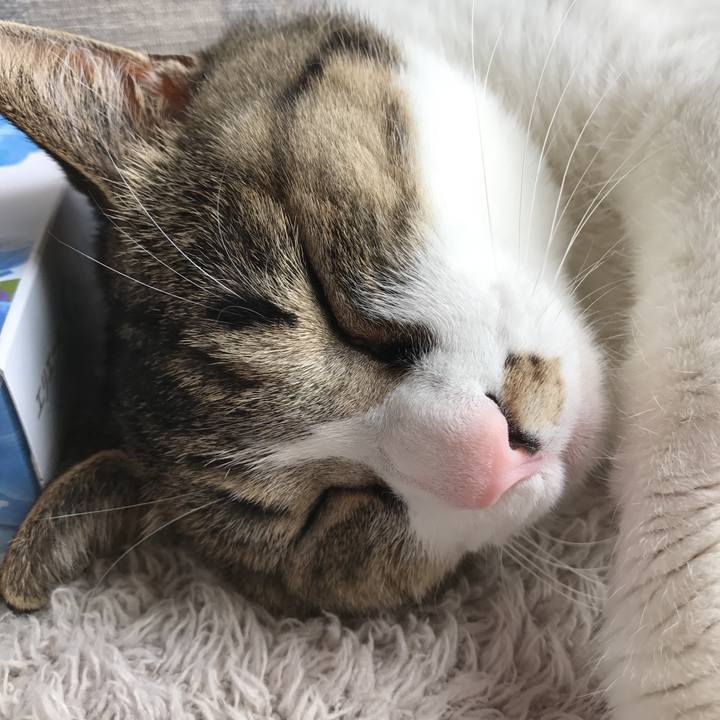 93017b82 8323 47b9 9300 4bfb6475abac