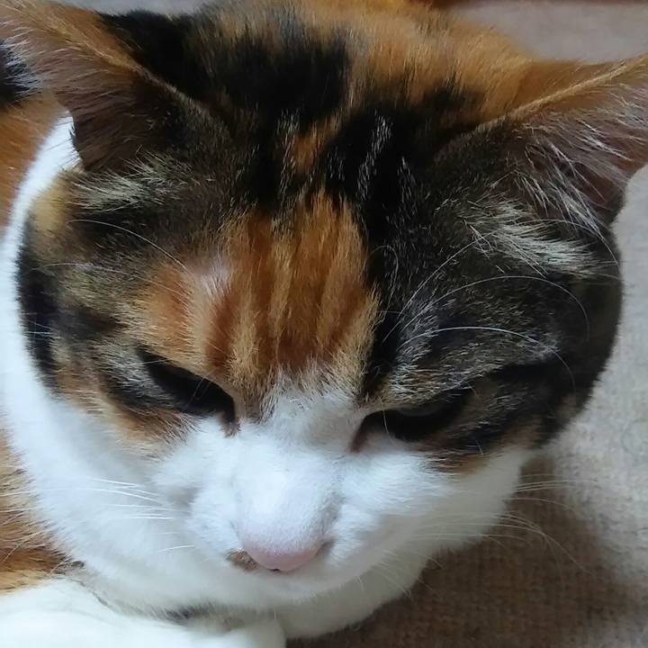 93018660 2bb8 4513 9880 6b1cd68fd4be