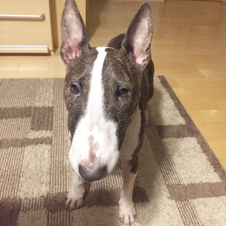 9301e465 c8c6 4f1a ab8f af62dc988de6