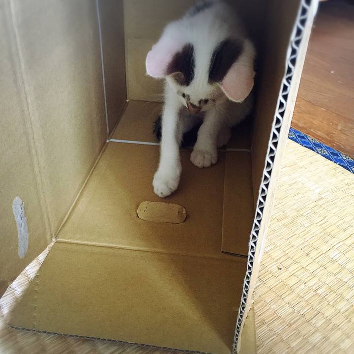 93021e0b bbe4 40df 9c0b 1582ca145d08