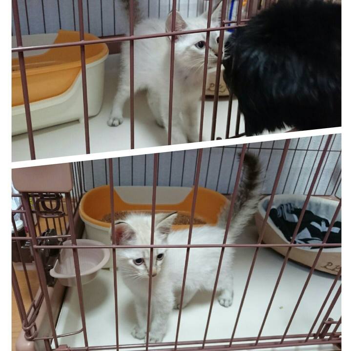 930270c8 d2a1 441b 974b b558ae990254