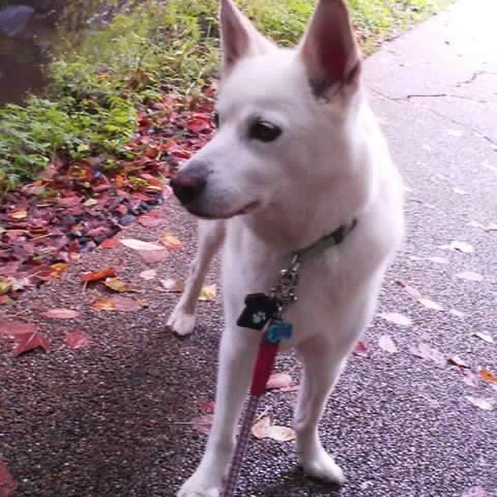 9302ac70 f9fa 41fa 95e5 df92c2ffc680