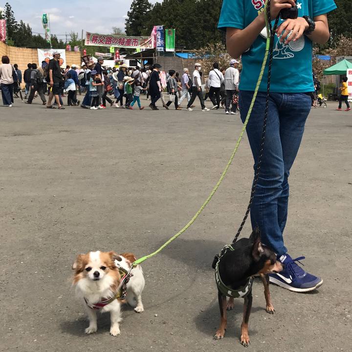 9304557a 01ea 4962 a864 5bae569af5c6