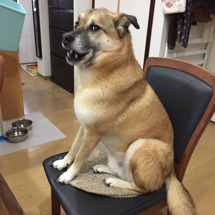 93050b6b cf9e 41d2 9afc 041fde9c2084