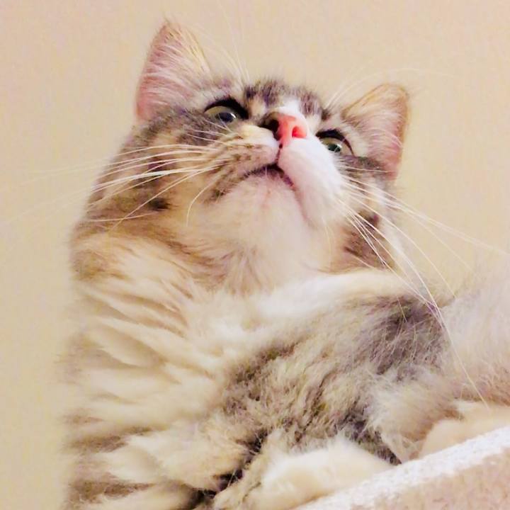 93054f76 d1d5 48b6 b305 b90bdf7d43fb