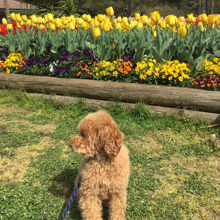 93058389 7d4e 407d 9bf4 4b1341545aec