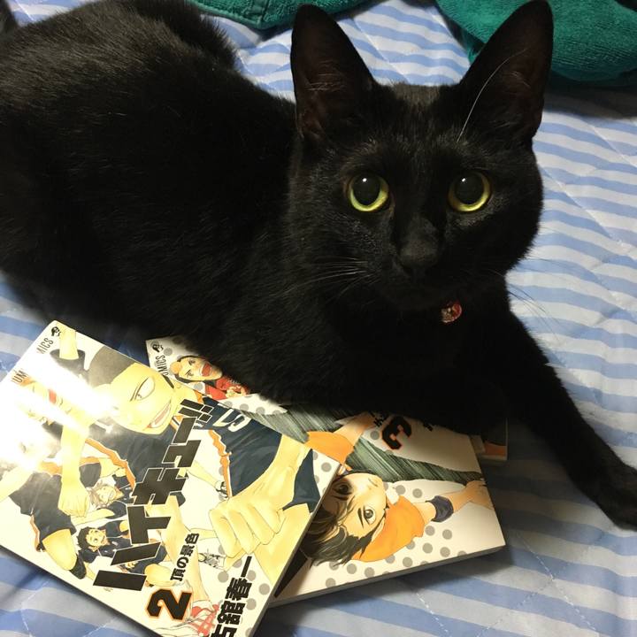 9305c487 31dd 4504 96c4 f800dfc96a28