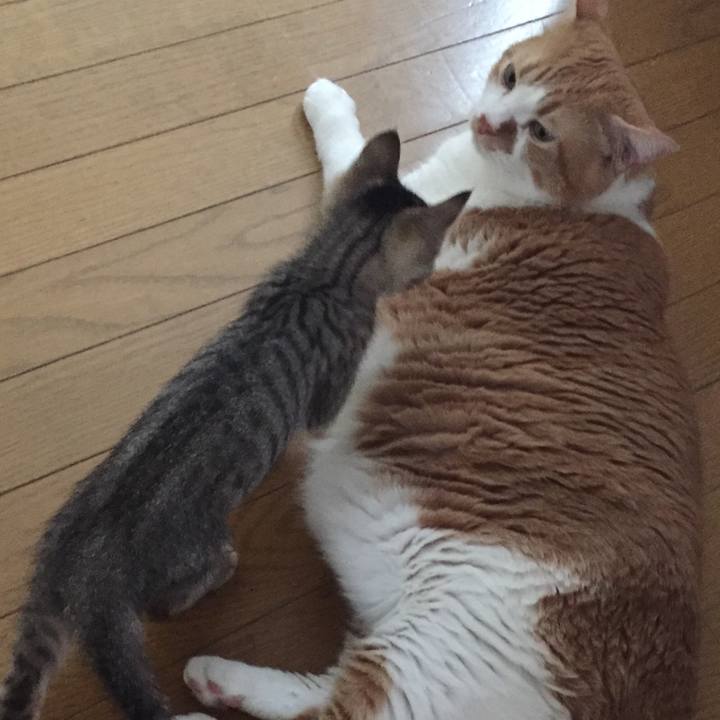 9305fc70 88a1 46bf accd b42e52b82973