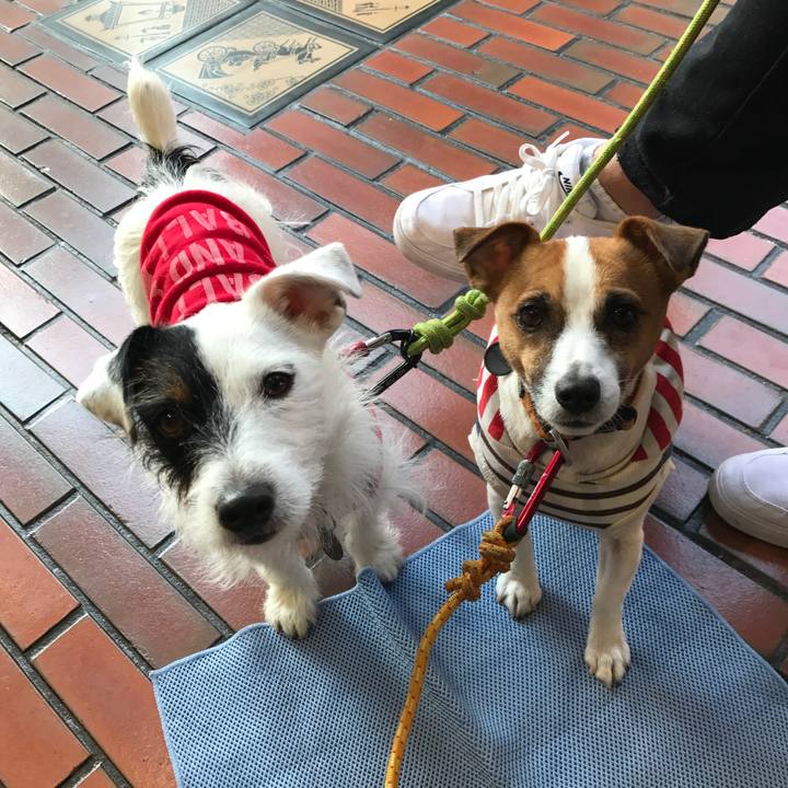 9306e76f 5f24 4970 8a83 4c2355d7b13f