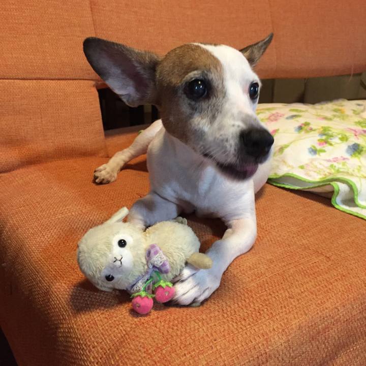 9307a145 bfa7 4f82 bc89 d27cc5ee36c9