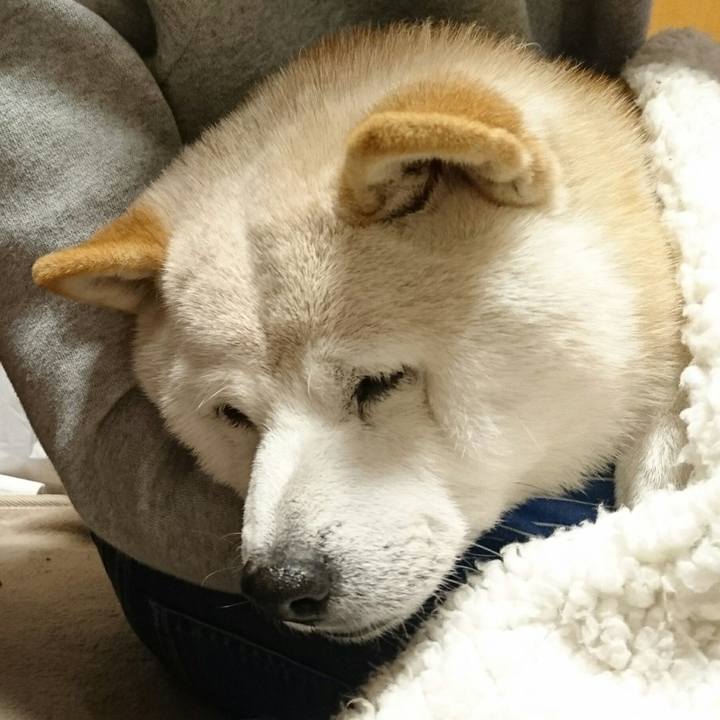 9307b24a dfa5 4abd 8ae9 718bb3d8aa88