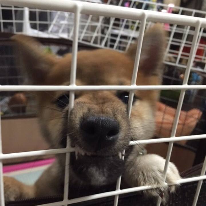 9307baee ecc4 4a38 9288 6d03fe3c7ff7