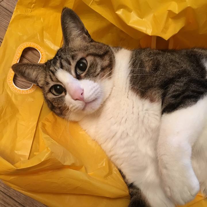 93081551 d79f 4989 9d49 5d996f7627ba