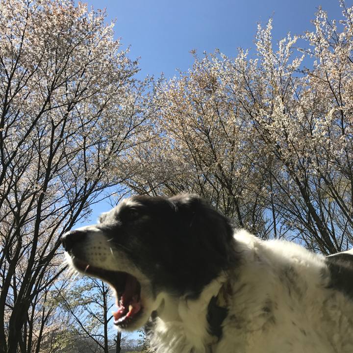 930834de 7632 4e36 86d6 5b3a2236975f