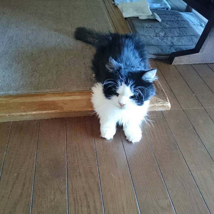 93085ef4 1dcc 4e7a ba08 070cfb7d2c3a