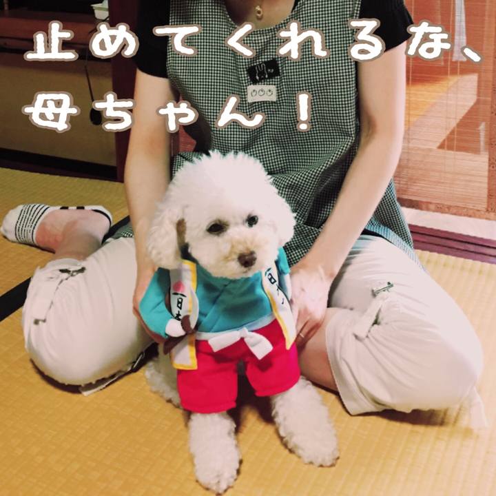 9308b108 dfac 4aa3 96a0 08d231e6ca1e