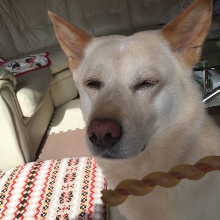 93091262 45c6 4145 82d9 027066152096