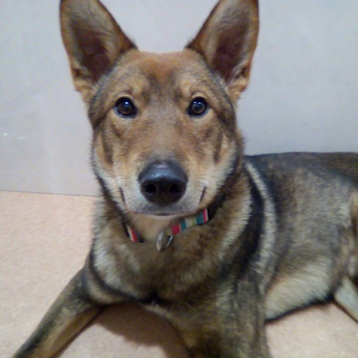 9309da39 dd3a 4dde a936 57402db21ad6