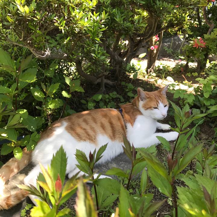 930a5a9c ffb2 416b b56c ed17fdb2d43e