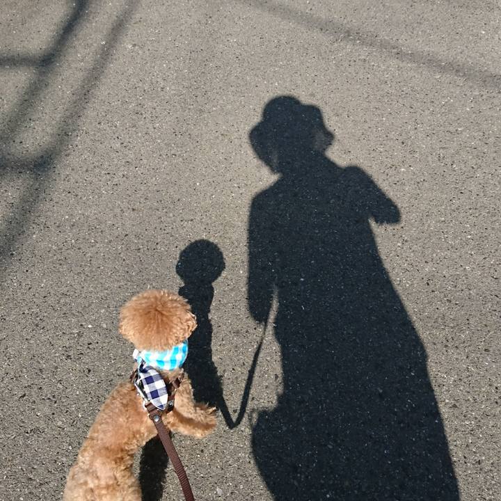 930af5f2 bf0e 4475 b248 59bab976200a