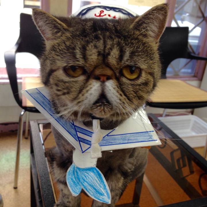 930b58a4 ad9f 4a00 b7ac f2d20d6b7eeb