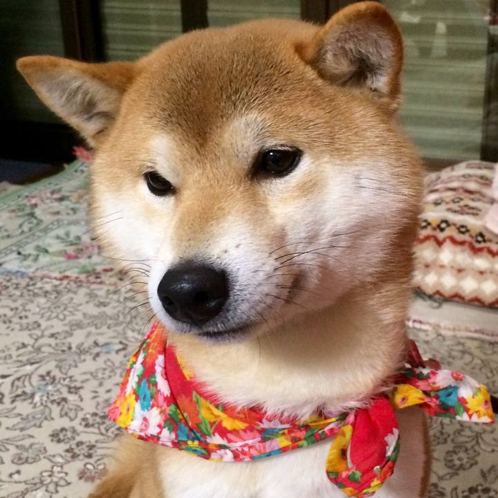 930be9fb 78b4 4e24 a051 f67ee21df379