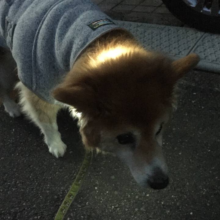 930bf080 32fe 467c abf4 f622a46e5024