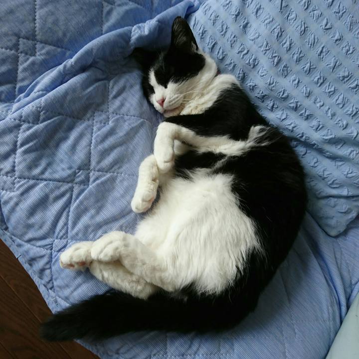 930c16d2 35a8 4a89 91d9 2652ffef1fe7