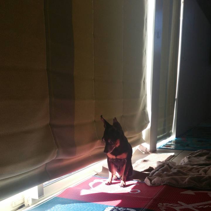 930d5edb 74bb 47f1 b3a1 f9e94732d6df