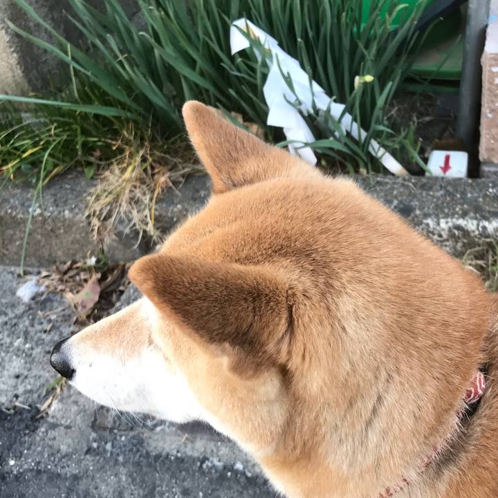 930d8dd9 5e20 4ad7 bf55 7efce285253c