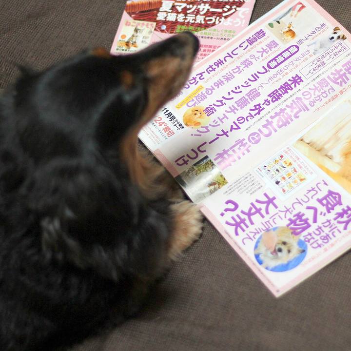 930da310 4414 403c a137 59f35c383851