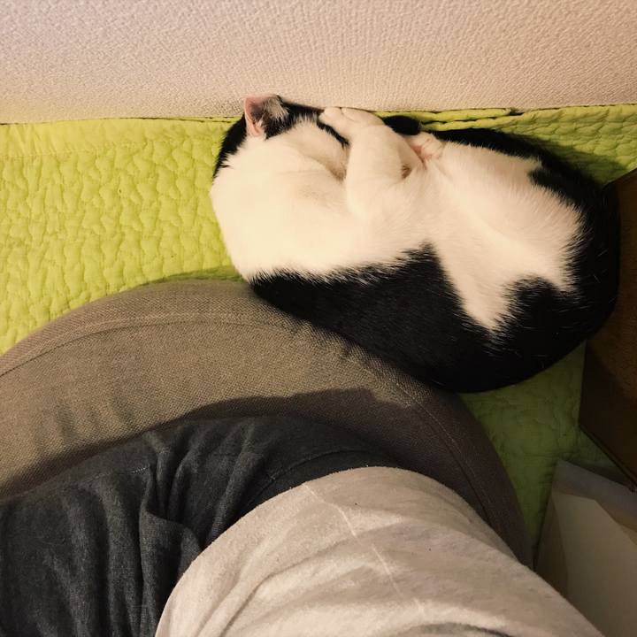 930e04bd ff3d 4ddc a3d8 6ca72c01e98e