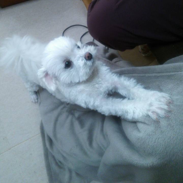 930ee069 ee46 4a11 bb54 31871b332386