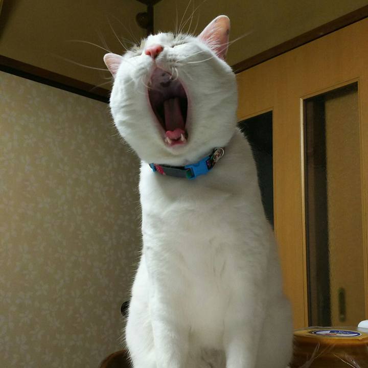 930f0e9e 65fe 4ba2 b576 79cc86047bbd