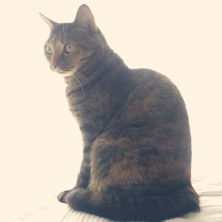 930f7e10 2467 4ee8 83f4 7e19b3313ac8