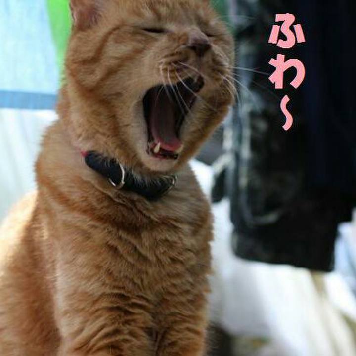 930f8b83 c07d 43c2 8ff0 6d67b96e86e3