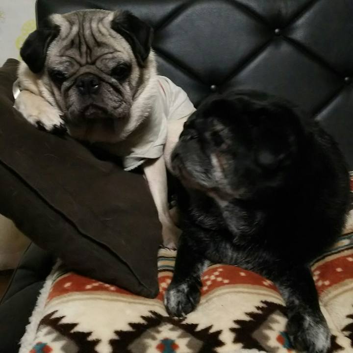 930ffff7 1fa8 4a13 9f30 3f2a70cca1b4