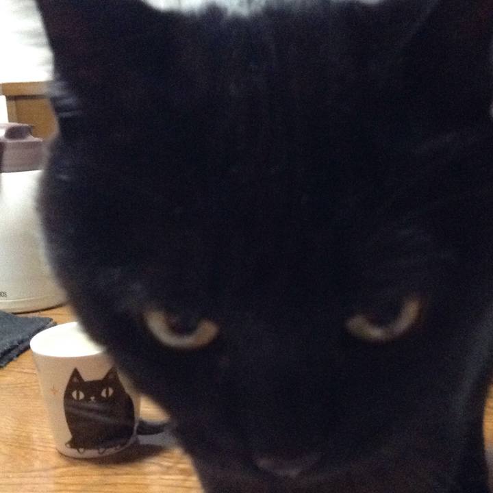 93102a94 3ccd 41b2 ba6d ef53eb5e6b52