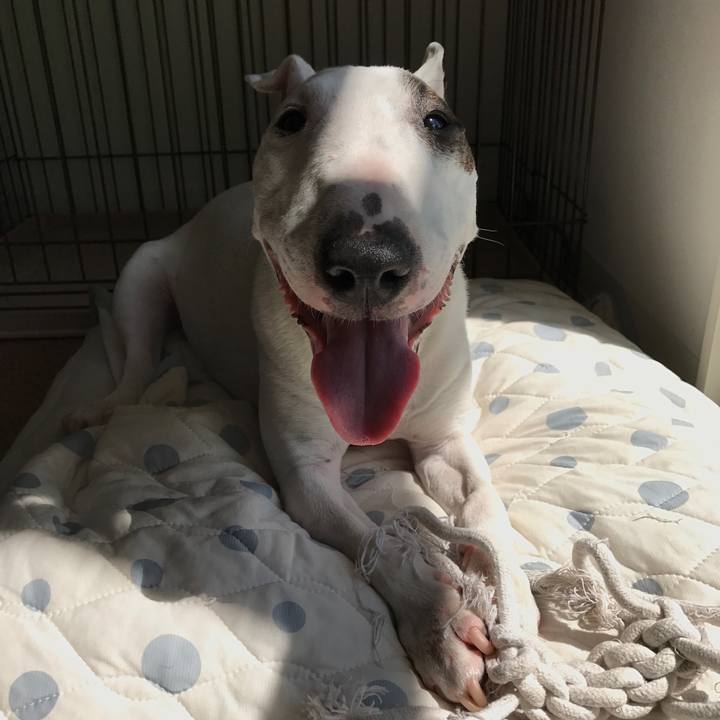 931076cd 51dd 4be5 b8fc 06ed6641ef90